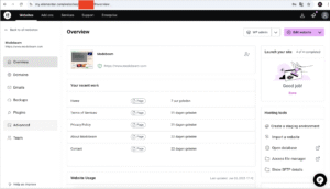 Elementor Hosting dashboard with website overview