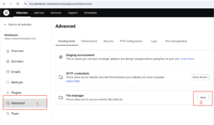 Elementor File Manager section with Advanced tab selected