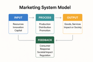 Diagram showing the marketing system model with four stages: Input, Process, Output, and Feedback.