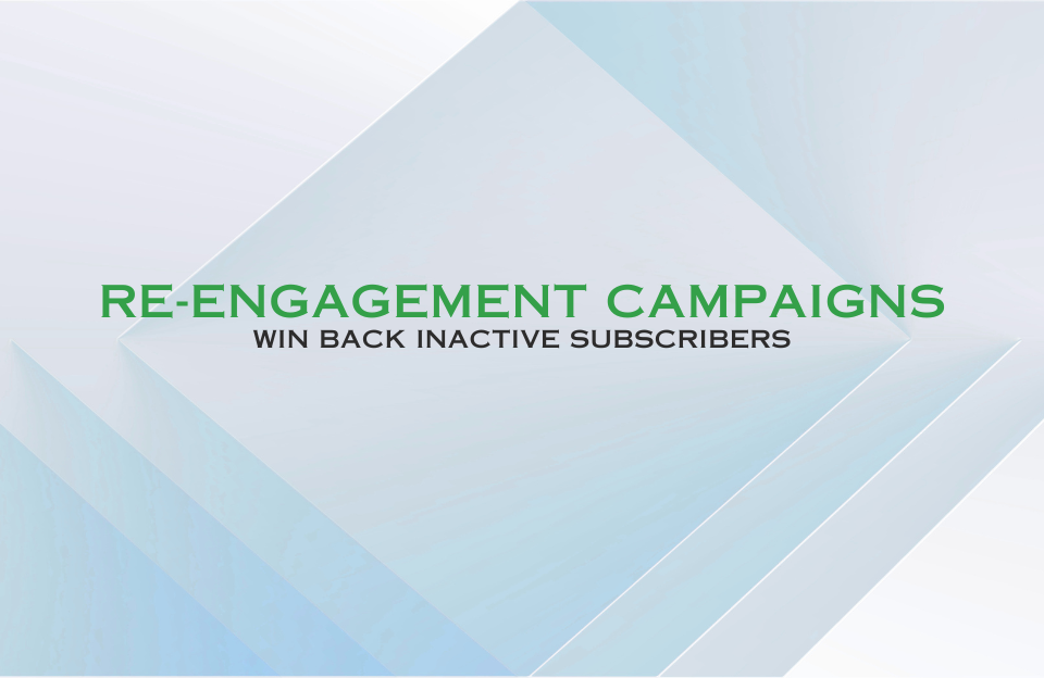 Banner with title 'Re-Engagement Campaigns – Win Back Inactive Subscribers' in green on a cool-toned background